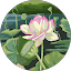 Edwina Crowder Avatar